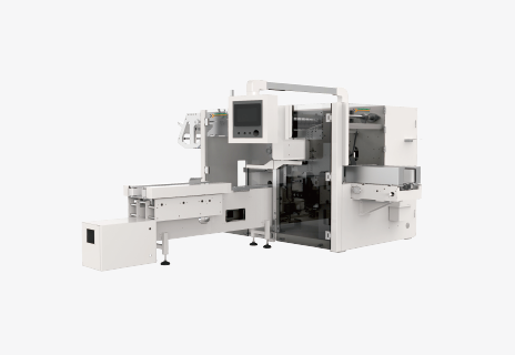 ZB520P